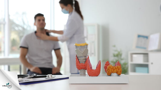 Maladie de Hashimoto : symptômes, causes et diagnostic