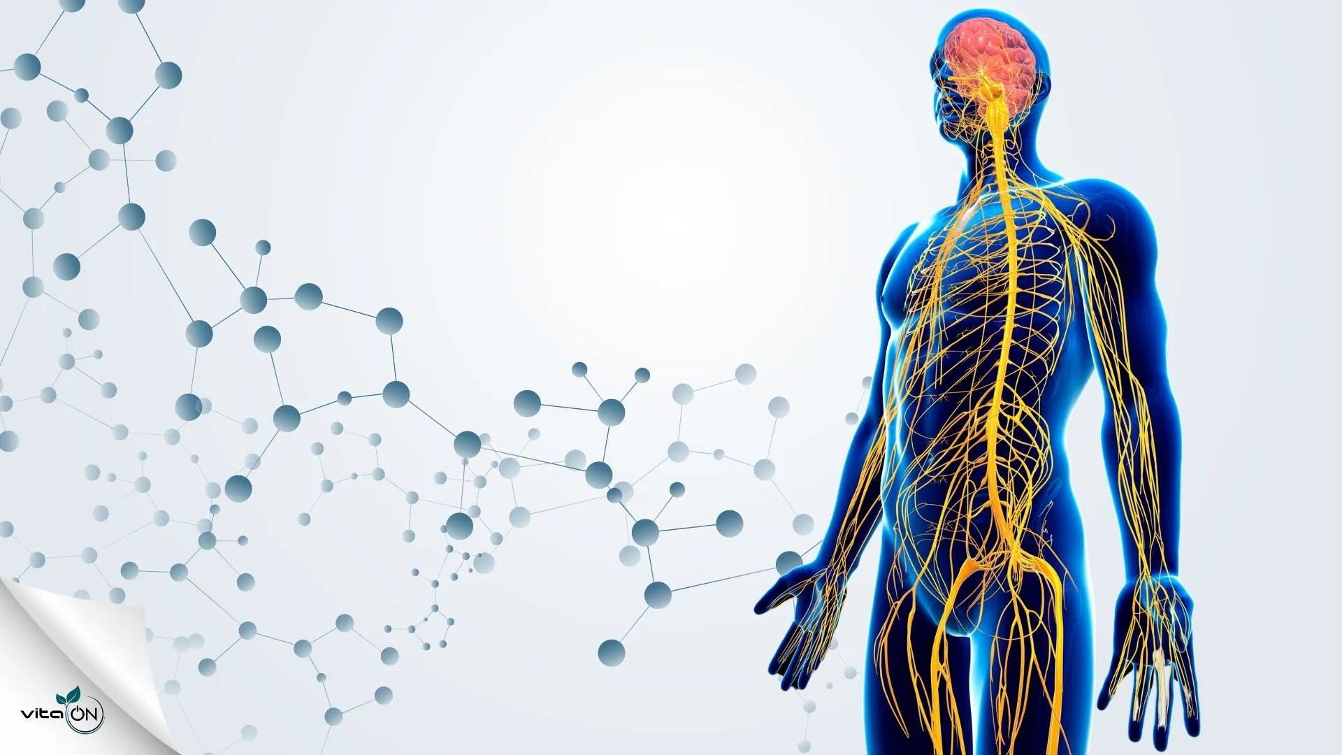 Symptômes des maladies des nerfs périphériques