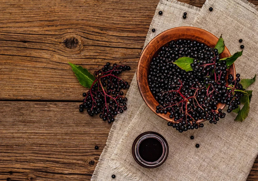 Черен бъз: Същност, ползи и лечебни свойства