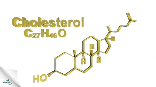 Tout sur le cholestérol : est-il dangereux et comment abaisser ses niveaux