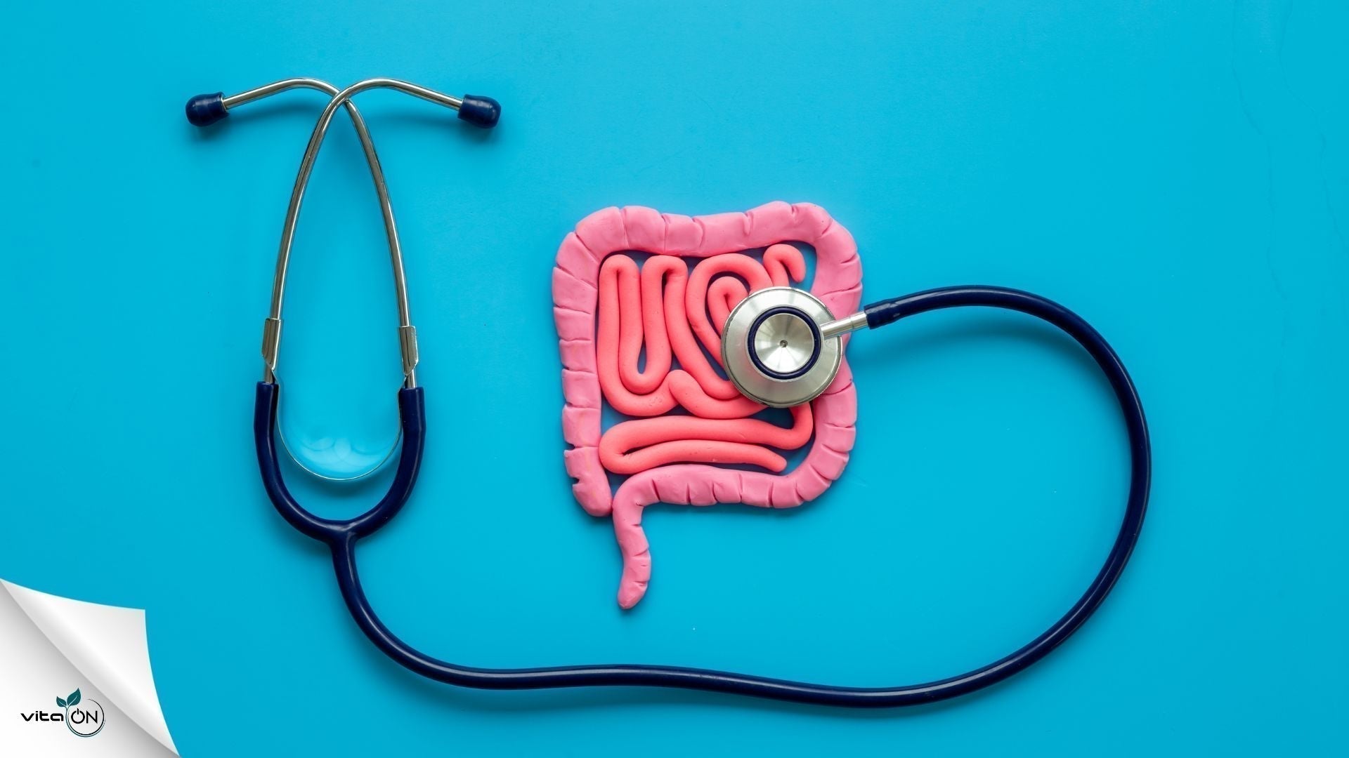 Синдром на раздразненото черво: Симптоми, диагностика и лечение