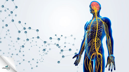 Symptômes des maladies des nerfs périphériques